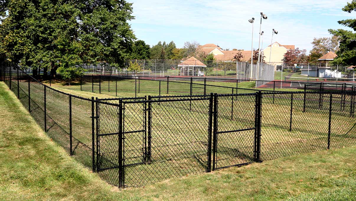 Communities of Concordia | Dog Run